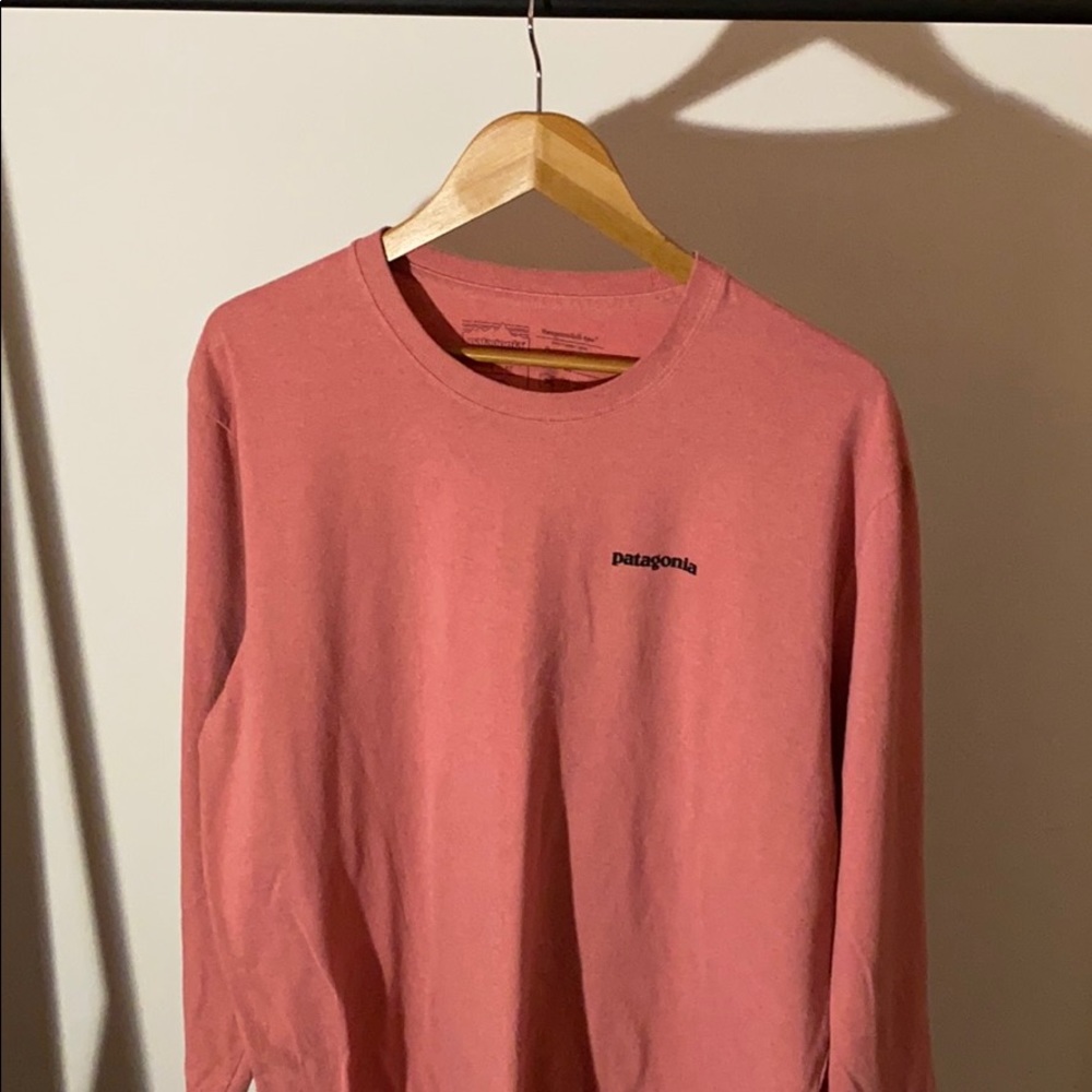 Patagonia Responsibili-tee